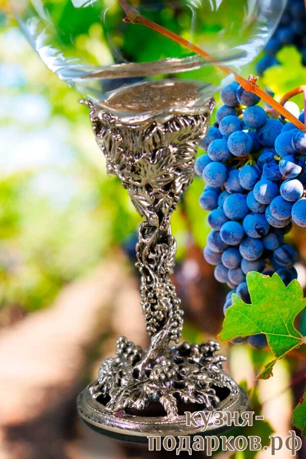 Бокал Лоза винограда для красного вина
